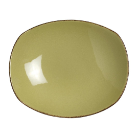 Steelite Terramesa Olive Zest Platters 255mm V7167