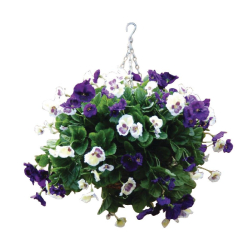 22' Purple and White Pansy Ball CG570