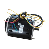 Buffalo AD447 Motor for Meat Slicer Replacement Spare Part (Fits CD279)