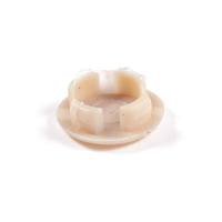 Polar Plastic Cap AA631