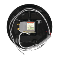 Polar Thermostat AG279