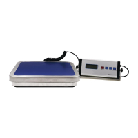 Electric Bench Scales | Digital Weighing Scale | 30kg Capacity | Weighstation CD564