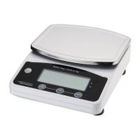 Electronic Platform Scale | Digital Food Scale | 3kg Capacity | Weighstation F201