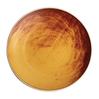 Concave Plate | Sienna Rust Canvas Plate | 270mm Fine Dining Tableware | Olympia FA311