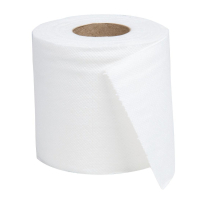 Toilet Paper | Standard Toilet Rolls | 2-Ply Bathroom Tissue | Jantex GD751