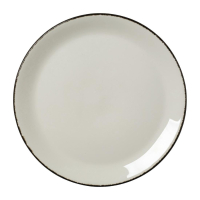 Coupe Plates | Charcoal Dapple Plates | 280mm Restaurant Dinnerware | Steelite VV1326