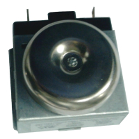 Buffalo Timer AD986