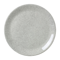 Coupe Plates | Crackle Grey Ceramic Tableware | 300mm | Steelite Ink VV1048