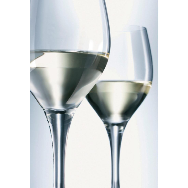 Schott Zwiesel Mondial Wine Crystal Goblets 445ml CC668