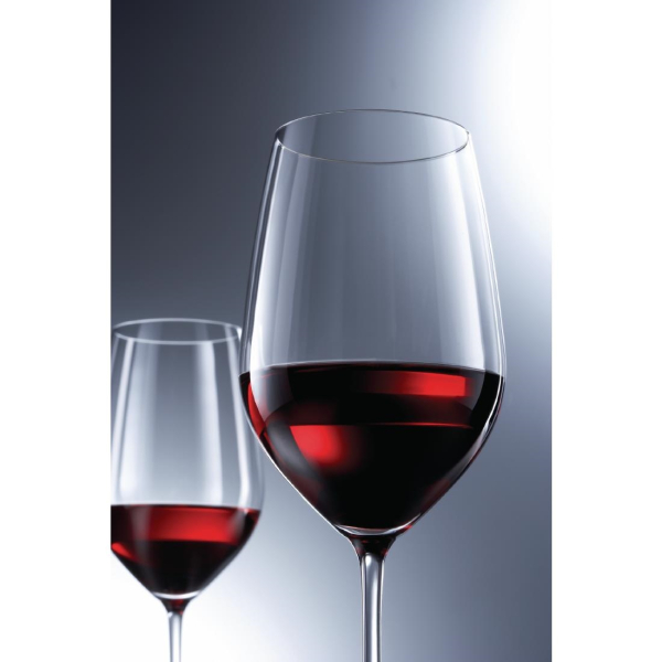 Schott Zwiesel Vina Crystal White Wine Goblets 279ml CC688