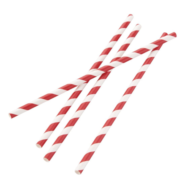 Fiesta Green Biodegradable Paper Straws Red Stripes DE927