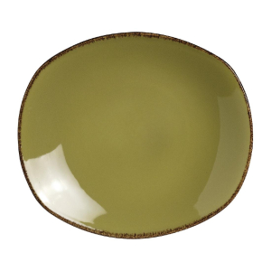 Steelite Terramesa Olive Spice Plates 255mm V7161